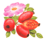 �R�G�T���Ёi�`���j�����E���ň��p����Ă�����S�̃u�����h�ł���