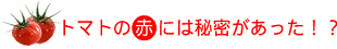 �g�}�g�̐Ԃɂ͔閧���I
