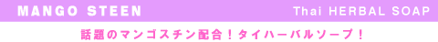 マンゴスチンタイハーバルソープ