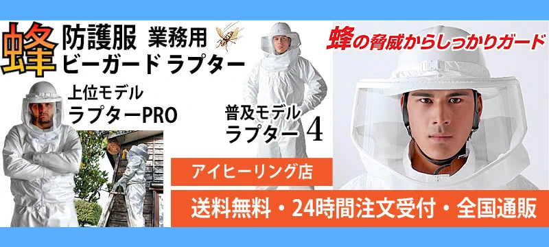 ˪ɸץPROѤޤ
